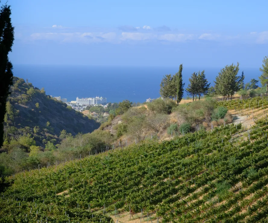 Gilham Vineyard Hotel